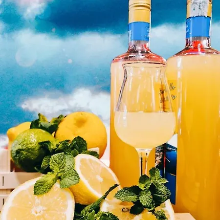 Terrazza La Delizia Apartment Sorrent